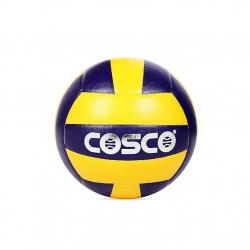 Cosco volleyball Acclaim