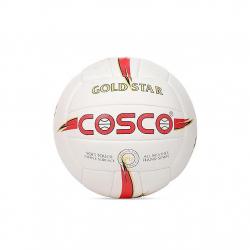 Cosco Volleyball Gold Star